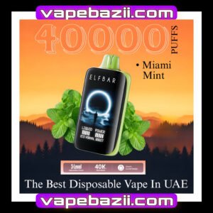 پاد یکبار مصرف ۴۰ هزار پاف الف بار نعنا | Elfbar Moon Night 40K